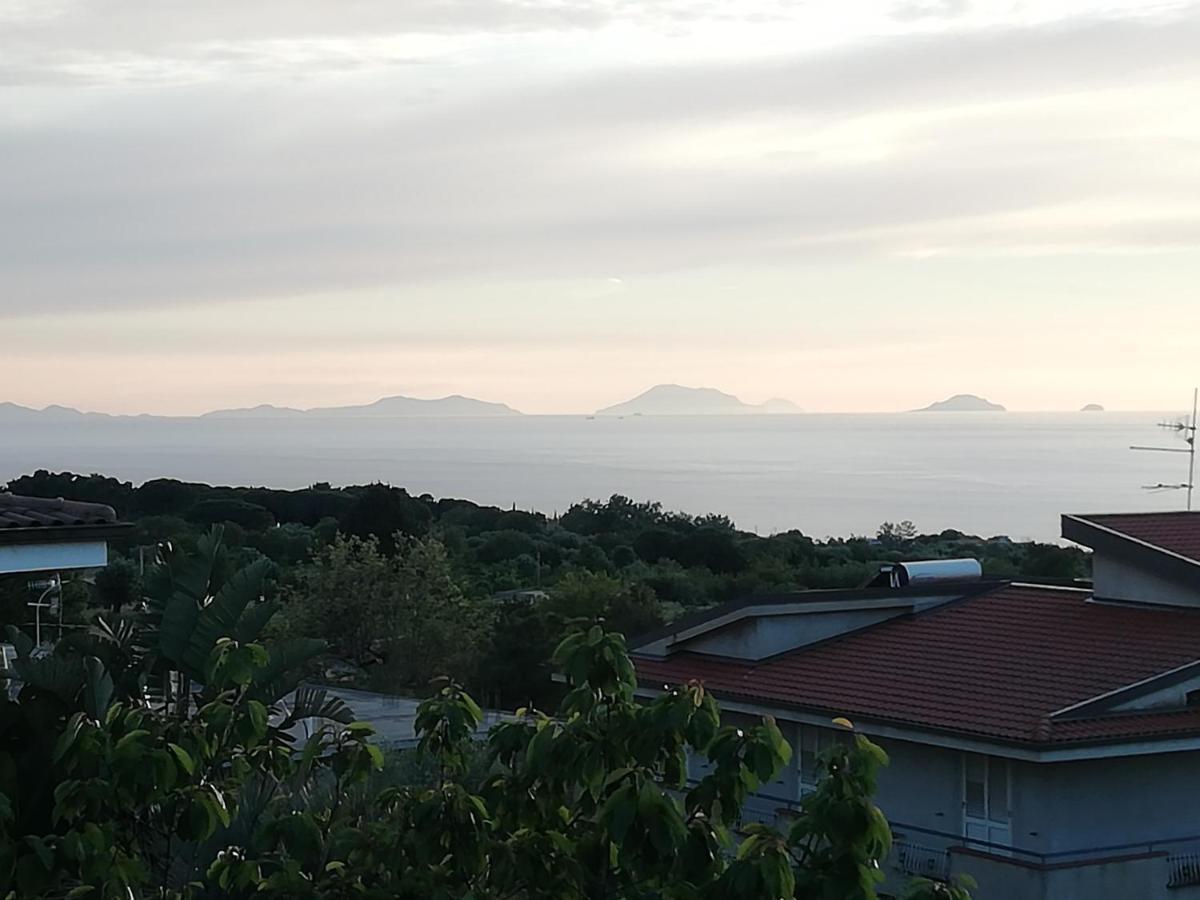 B&B villa orchidea Ricadi Exteriör bild
