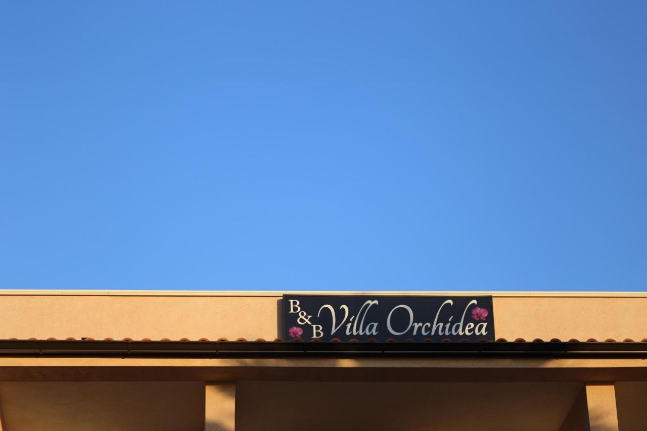 B&B villa orchidea Ricadi Exteriör bild